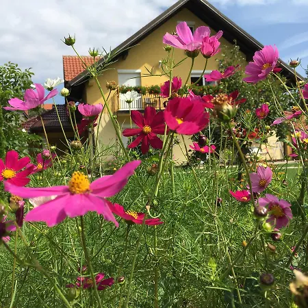 Omiljeni Appartamento