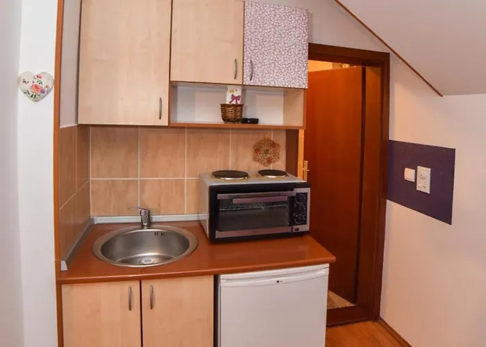 Omiljeni Lägenhet Zlatibor